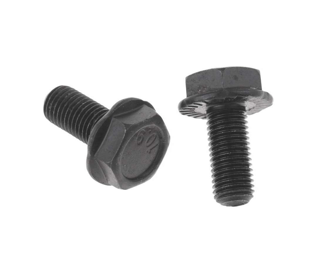 Martes Bottom Bracket
