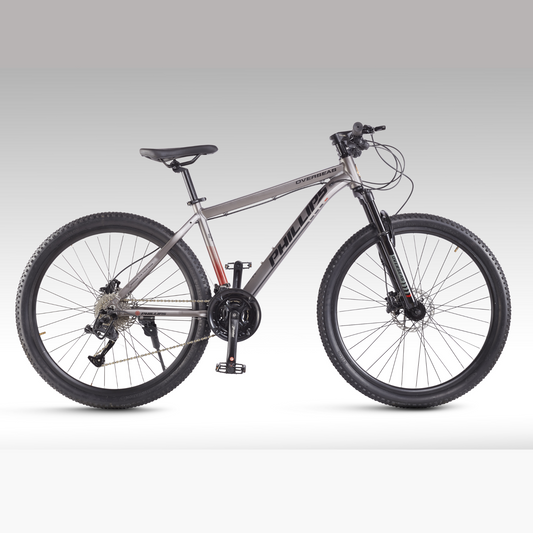 Phillips M350 Mountain bike