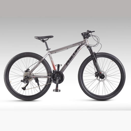 Phillips M350 Mountain bike 