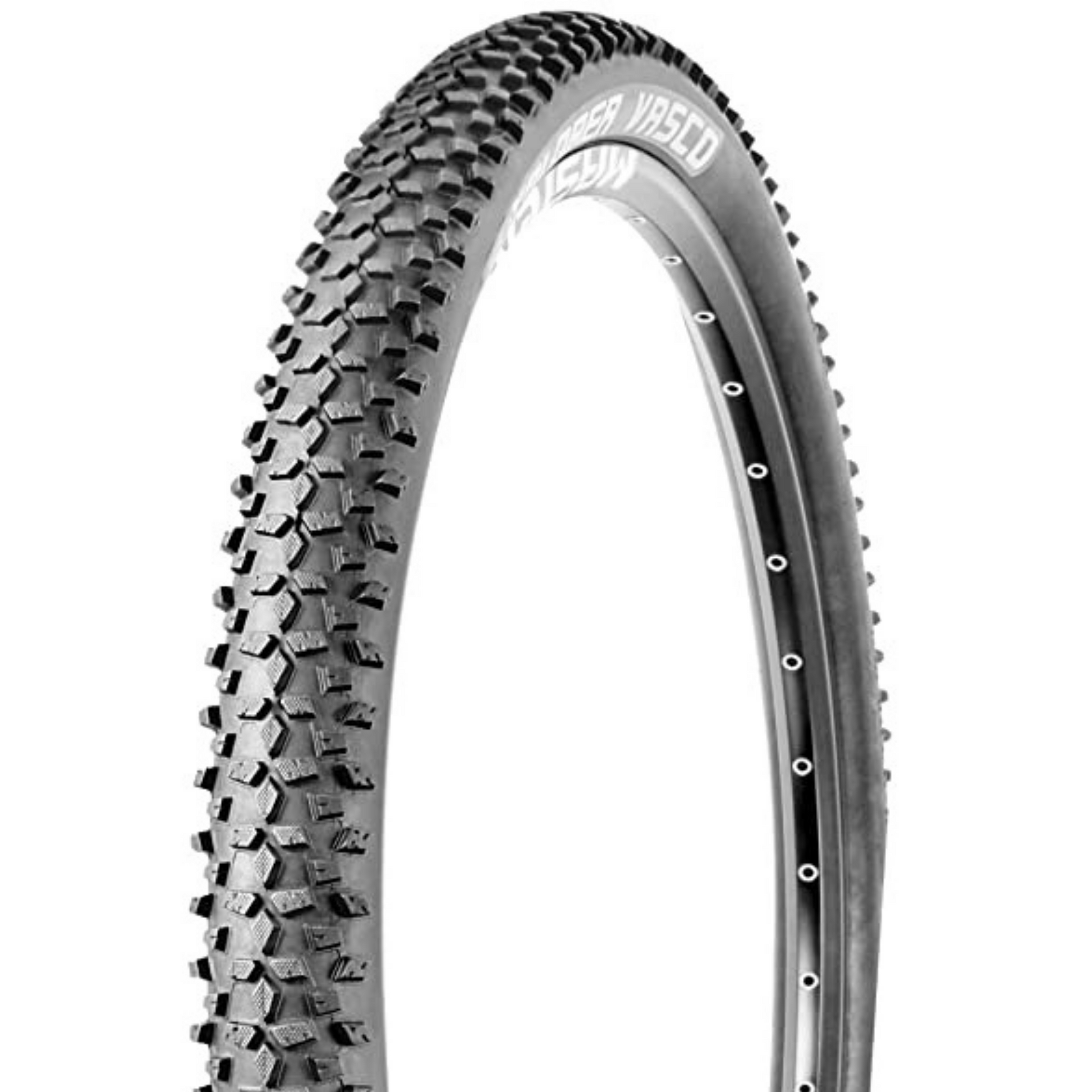 Ralson Explorer Vasco tire 